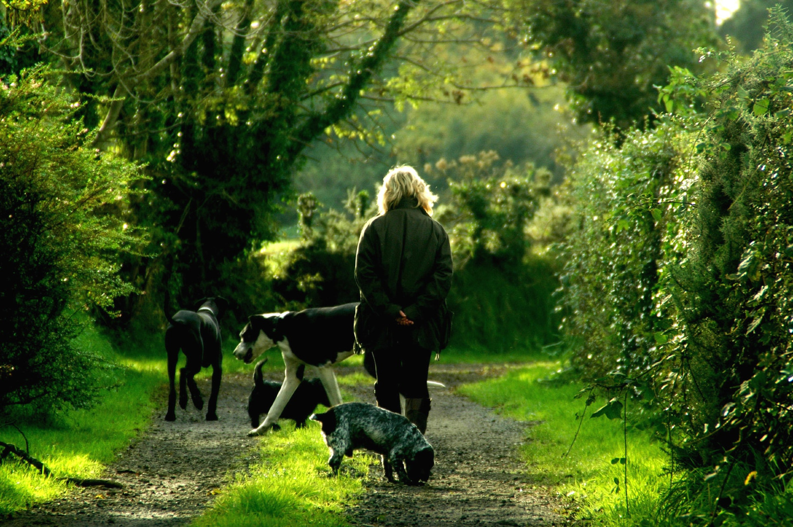 <blockquote>When setting out on a journey, do not seek advice from those who have never left home.</blockquote><p>- Rumi</p>